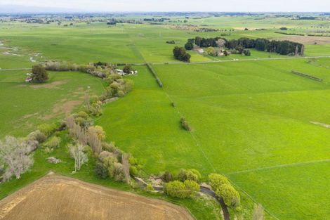 Photo of property in 260 Haynes Line, Beaconsfield, Feilding, 4777