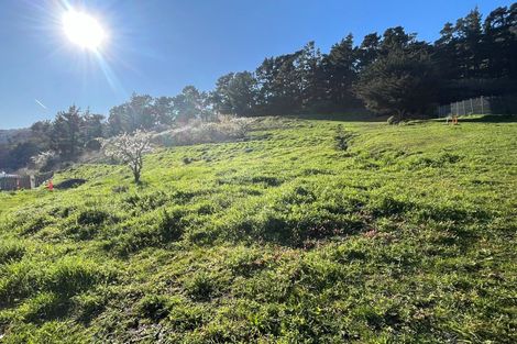 Photo of property in 11 Kairuri Lane, Heathcote Valley, Christchurch, 8022