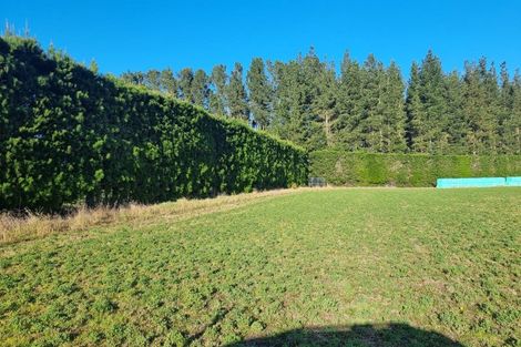Photo of property in 480 Pesters Road, West Eyreton, 7475