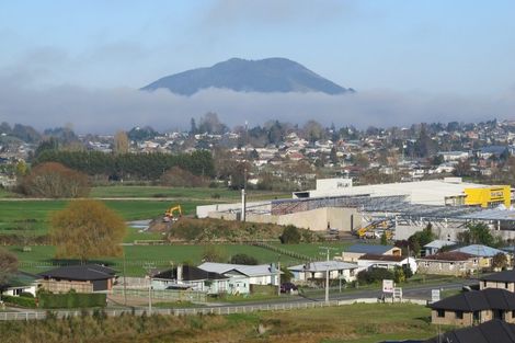 Photo of property in 257 Picquet Hill Road, Te Awamutu, 3800