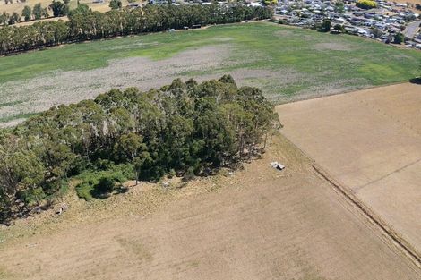 Photo of property in 42 Svenson Road, Waipukurau, 4200