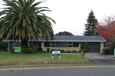 Photo of property in 41 Vernall Street, Nawton, Hamilton, 3200