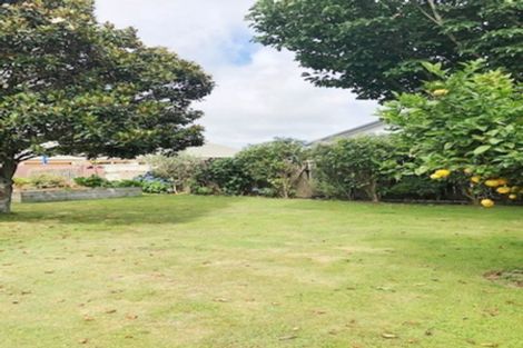 Photo of property in 125 Tiro Tiro Road, Levin, 5510