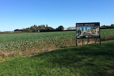 Photo of property in 54 Tawhiti Road, Pukekohe, 2120