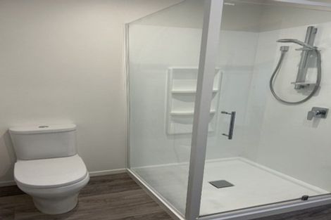 Photo of property in 128a Centennial Avenue, Alexandra, 9320