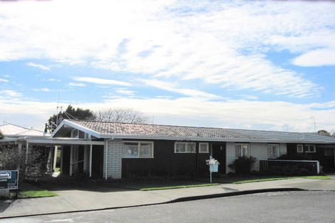 Photo of property in 39 Kent Street, Levin, 5510