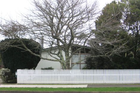 Photo of property in 75 Tiro Tiro Road, Levin, 5510