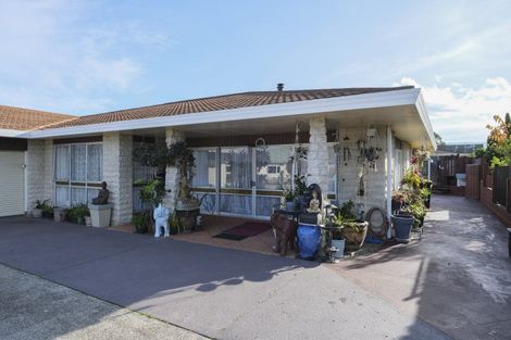 Photo of property in 117 Guy Street, Dannevirke, 4930