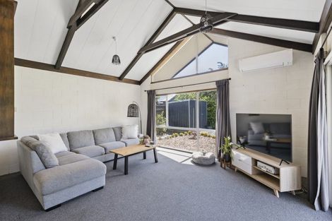 Photo of property in 17 Opawa Place, Terrace End, Palmerston North, 4410