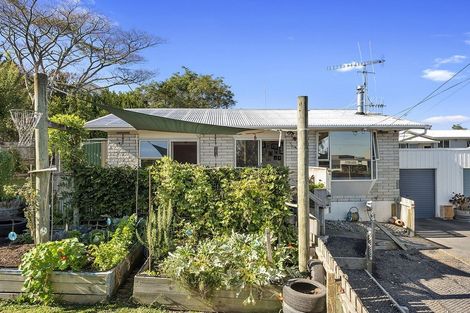 Photo of property in 101a Tawa Street, Melville, Hamilton, 3206