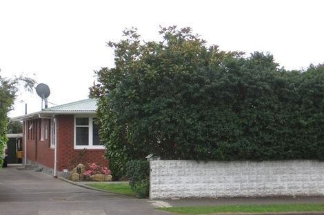 Photo of property in 69 Tiro Tiro Road, Levin, 5510
