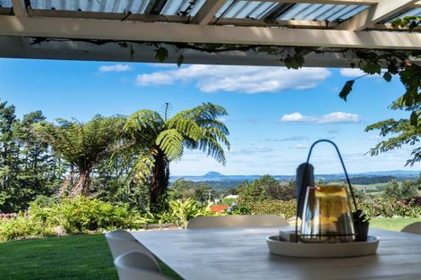 Photo of property in 424a Hot Springs Road, Tahawai, Katikati, 3178