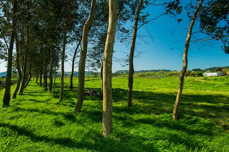 Photo of property in 495a Nelson Road, Riverdale, Gisborne, 4010