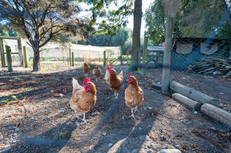 Photo of property in 541 Napier Road, Mangateretere, Hastings, 4180