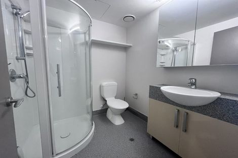 Photo of property in Dual Apartments, 401/142u Vivian Street, Te Aro, Wellington, 6011