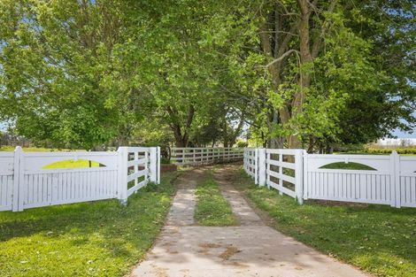 Photo of property in 237 Taihoa Road South, Matamata, 3473