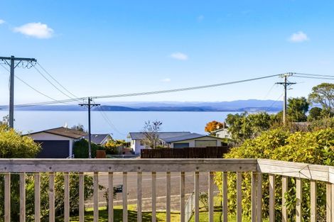 Photo of property in 164 Omori Road, Omori, Turangi, 3381