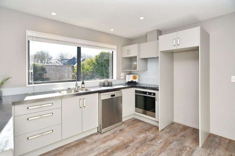 Photo of property in 9b Amstel Lane, Richmond, Christchurch, 8013