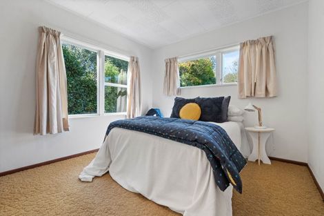 Photo of property in 13 Mole Street, Greytown, 5712