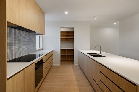 Photo of property in 3/2 Woodstock Road, Fairfield, Hamilton, 3214