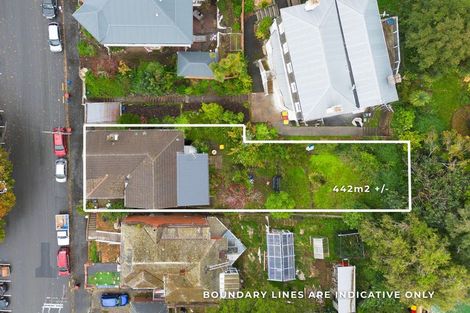 Photo of property in 8 Elder Street, Dunedin Central, Dunedin, 9016
