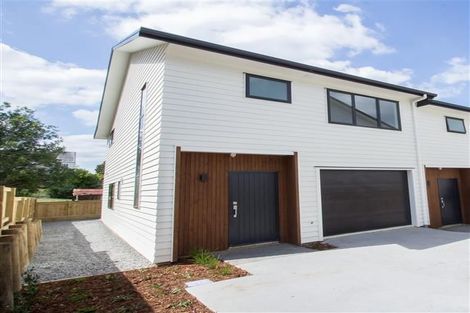 Photo of property in 18u9 Hunter Street, Hamilton Lake, Hamilton, 3204