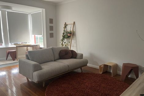 Photo of property in 59 Nairn Street, Mount Cook, Wellington, 6011