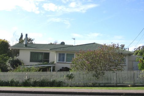Photo of property in 50 Larnoch Road, Henderson, Auckland, 0610