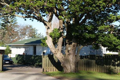 Photo of property in 310 Massey Road, Mangere East, Auckland, 2024