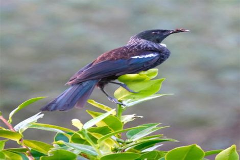 Photo of property in 53 Porika Road, Rotoroa, Murchison, 7077