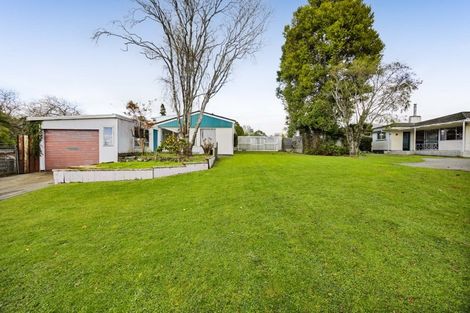 Photo of property in 20 Hinerua Street, Maungatapu, Tauranga, 3112