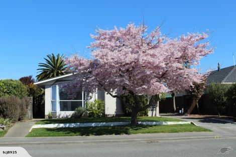 Photo of property in 43 Skerten Avenue, Hornby, Christchurch, 8042