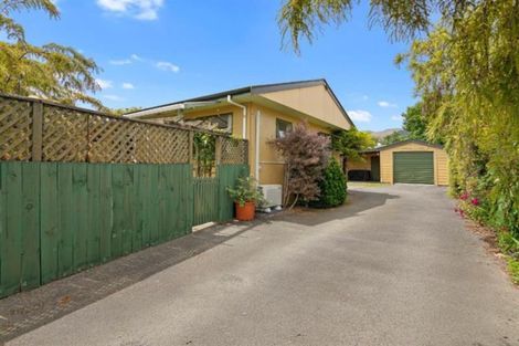 Photo of property in 24a Salisbury Road, Richmond, 7020