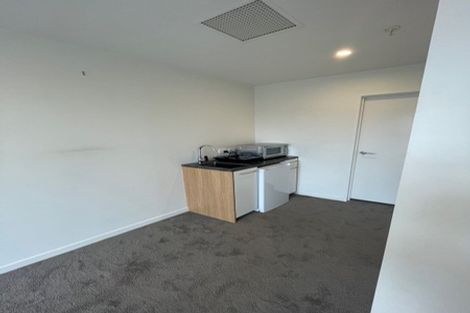 Photo of property in Vsp South, 301/168u Victoria Street, Te Aro, Wellington, 6011