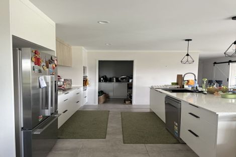 Photo of property in 123 Vineyard Road, Te Kauwhata, 3782