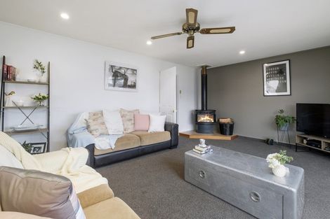 Photo of property in 13 Hotop Place, Cromwell, 9310