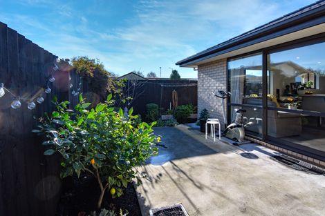 Photo of property in 19c Walpole Street, Waltham, Christchurch, 8023