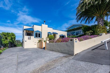 Photo of property in 20 Havelock Road, Hospital Hill, Napier, 4110