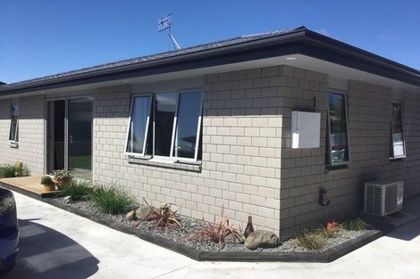 Photo of property in 12a Guy Avenue, Levin, 5510