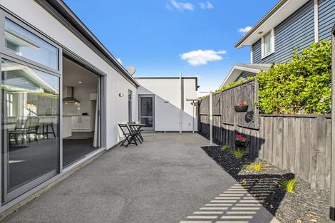 Photo of property in 87 Mary Ellen Street, Pegasus, 7612