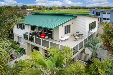 Photo of property in Cheltenham Court, 604 Market Street South, Hastings, 4122