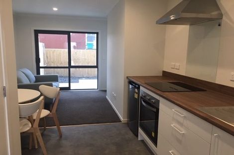 Photo of property in 11u5 Edgecumbe Street, Whitiora, Hamilton, 3200