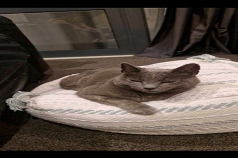 Photo of property in 51a Wellington Road, Paekakariki, 5034