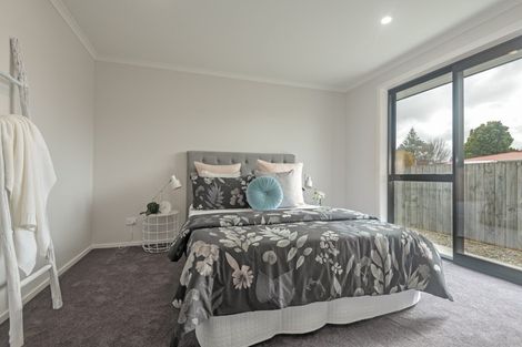 Photo of property in 11c Mcgregor Street, Milson, Palmerston North, 4414