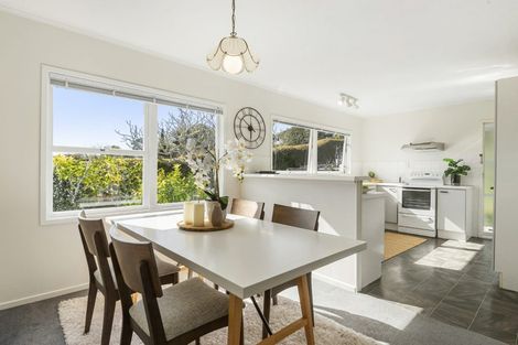Photo of property in 46 Alton Avenue, Hillcrest, Auckland, 0627