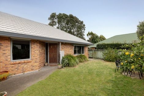 Photo of property in 171e Maungatapu Road, Maungatapu, Tauranga, 3112