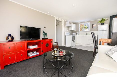 Photo of property in 101a Limbrick Street, Terrace End, Palmerston North, 4410