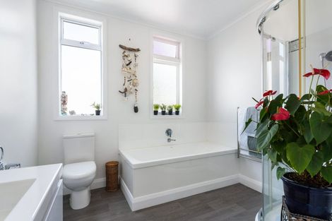 Photo of property in 805 Queen Street, Thames, 3500