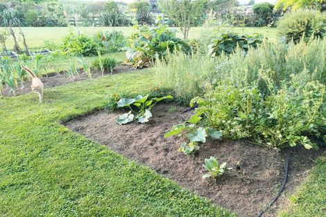 Photo of property in 140 Arapuni Lake Road, Wharepapa South, Pukeatua, 3880