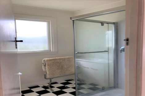 Photo of property in 233 Hokio Sand Road, Hokio Beach, Levin, 5571